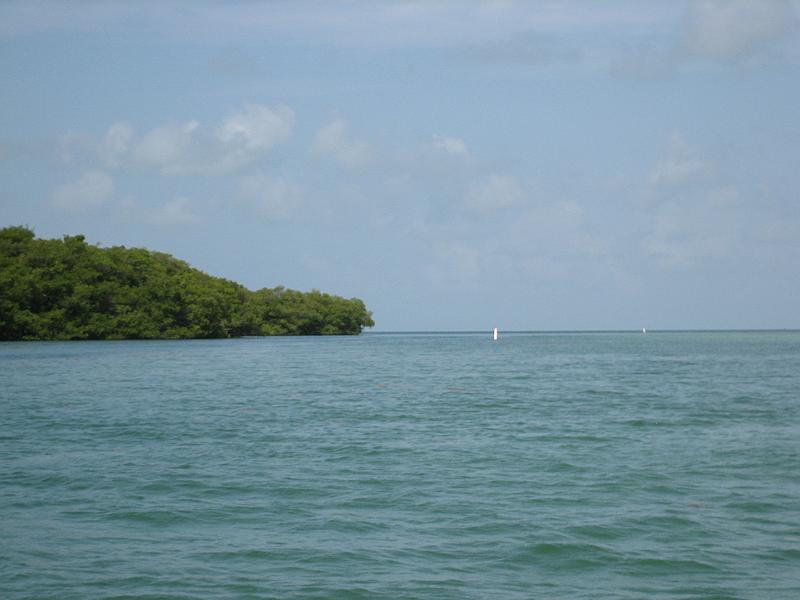Picture 010